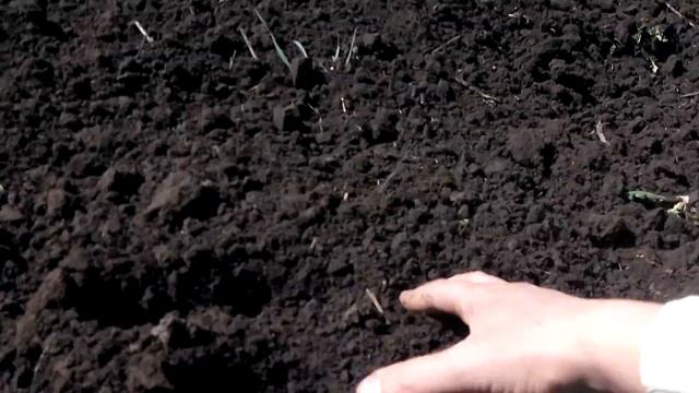 АКТИВНЫЕ РОТОРЫ РОТОРНЫЕ БОРОНЫ ЩАДЯЩАЯ ОБРАБОТКА ПОЧВЫ МОТОБЛОК смотреть онлайн