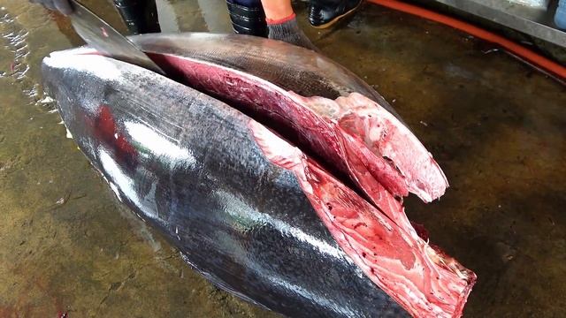Amazing skill！280KG Giant Bluefin Tuna Cutting Master смотреть онлайн
