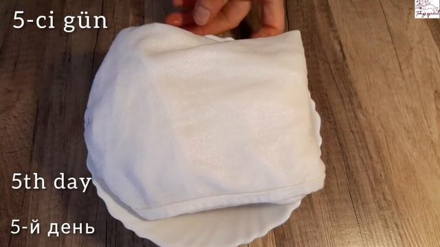 SƏMƏNİ CÜCƏRDİLMƏSİ. ARPA, BUĞDA, MƏRCİ. СЕМЕНИ. КАК ПРОРАСТИТЬ. ЯЧМЕНЬ, ПШЕНИЦА И ЧЕЧЕВИЦА. смотреть онлайн