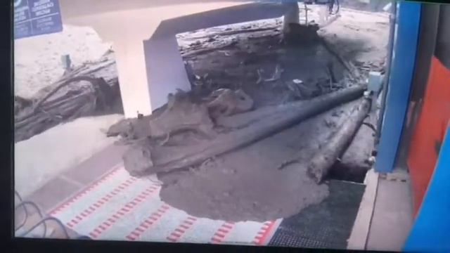 Селевой поток с незащищенного склона смотреть онлайн