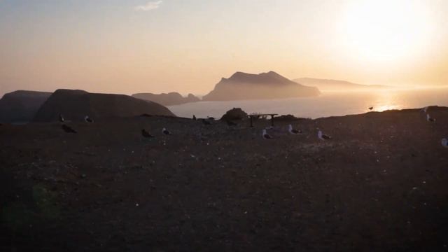 Anacapa Island | STRANDED for 30 HOURS | Channel Islands National Park | California Road Trip Ep. 4 смотреть онлайн