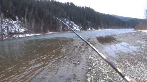 Рыбалка на реке Кия осенью. Хариус и ленок. Поплавок рулит.