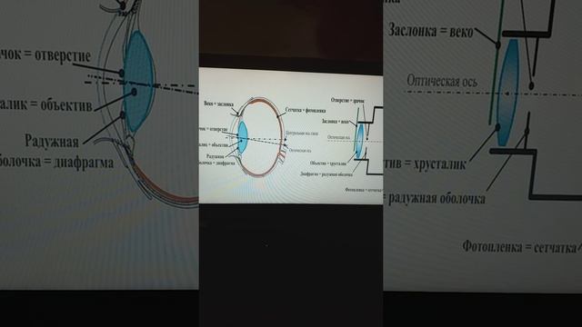 Принцип работы фотокамеры. смотреть онлайн