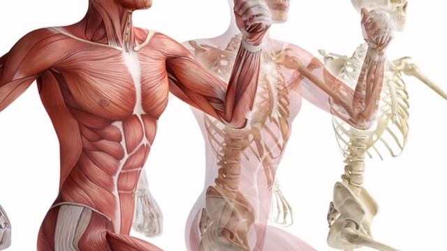 Только это сохранит печень даже в 80 лет.Когда все узнают это, болезни печени исчезнут. смотреть онлайн