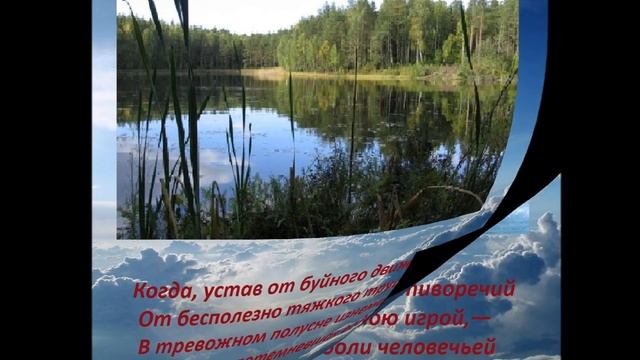 Я не ищу гармонии в природе....wmv смотреть онлайн