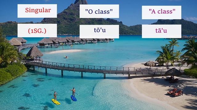 The Tahitian Language: A Cousin of Hawaiian смотреть онлайн