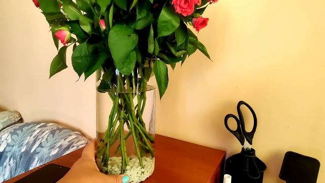 Сюрприз от Самвела и Коли 🎈🎈🎈 смотреть онлайн