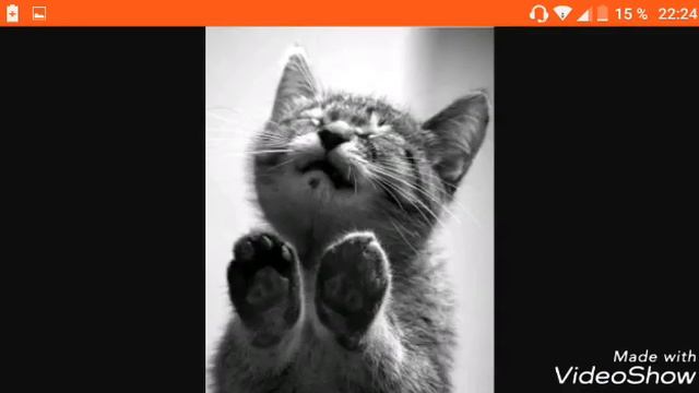 Котаник фильм слайдами смотреть онлайн