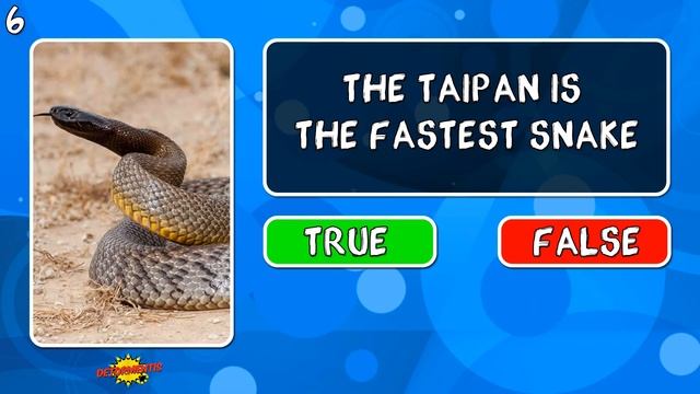 10 Things Kids Should know About Animals | 10 True or False Questions смотреть онлайн