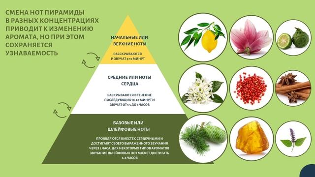Чем отличается туалетная вода от парфюмерной воды смотреть онлайн