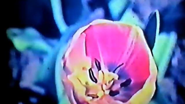 Журавли 5 ч смотреть онлайн