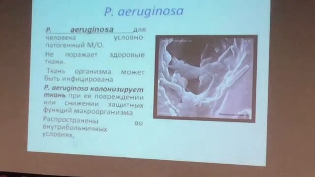 Лекция по микробиологии от Кафарской Л.И. Тема «Возбудители ВБИ». Часть 2 смотреть онлайн