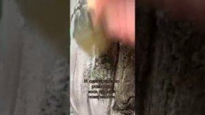 Мастер-класс Красим кашпо - из пластика в камень. Декор для дома.