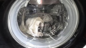 ЧАСТЬ 5. ПРИЛОЖЕНИЕ LG. МОЯ ПРОГРАММА ШЕРСТЬ ?. СТИРАЛЬНАЯ МАШИНА LG С СЕНСОРОНОЙ ПАНЕЛЬЮ НА 9 КГ.