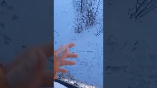 Новый способ как попасть в детдом смотреть онлайн