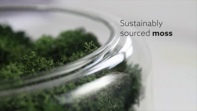 6 New Tech Gadgets смотреть онлайн