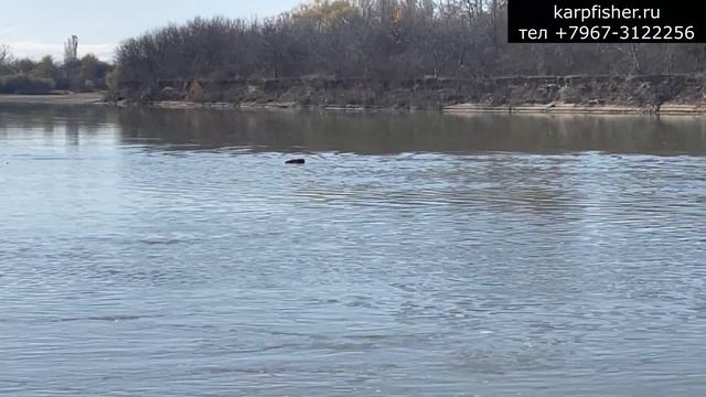 Кораблик для рыбалки KarpFisher в Германию смотреть онлайн