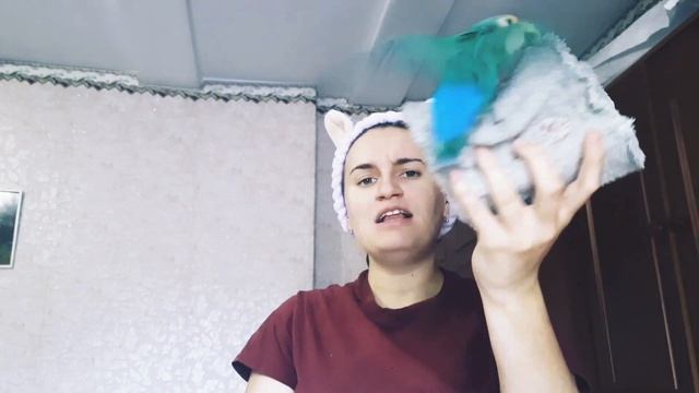 КАК СОГРЕТЬ ПОПУГАЯ, ЕСЛИ ДОМА ХОЛОДНО ! смотреть онлайн