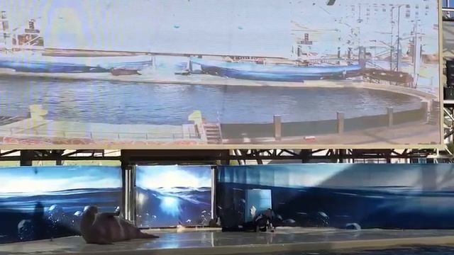 Самый лучший друг!