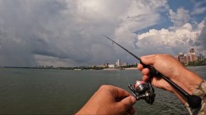 Идеальный спиннинг для малых весов? DUO Tetra Works React TWRT-58 на обзоре микроджиговых палок..