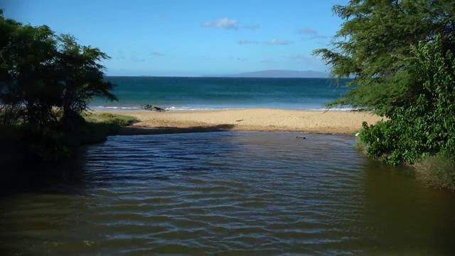 Lens Filters For Photography | UV, ND, Circular Polarizers, Grad, Variable ND Filters