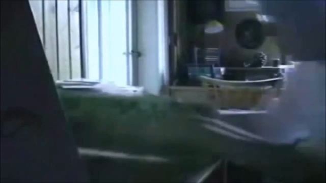 The Angry German Kid Show! Episode 1: Angry German Kid's Birthday смотреть онлайн