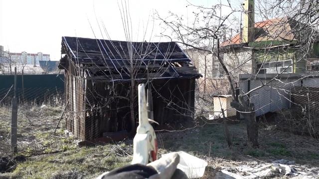 Нарезаю ветки от винограда, опиливаю дерево. Жизнь в частном доме