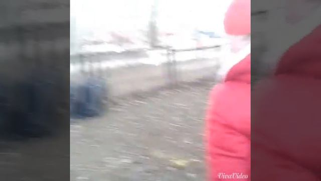 Приколы на улице!-кря,кря,кря :))))) смотреть онлайн