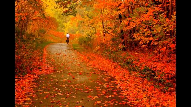 Люблю тебя, природа, в любое время года! смотреть онлайн