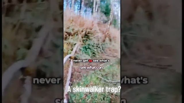 чьи это крики??#skinwalker смотреть онлайн