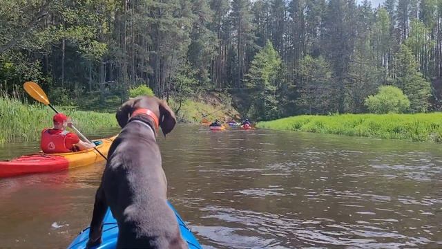 Река Страча май 2022 смотреть онлайн