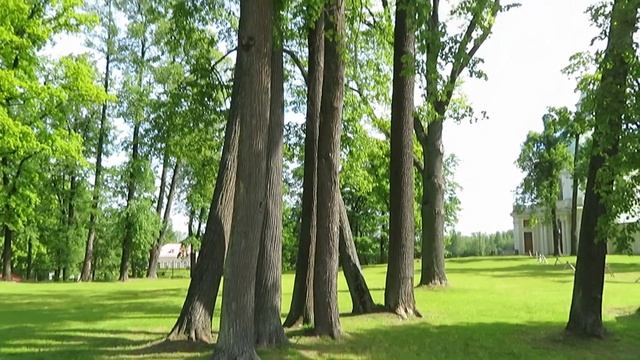 ДВОРЦОВО-ПАРКОВЫЙ АНСАМБЛЬ "ОРАНИЕНБАУМ". ПРОГУЛКА ПО ПАРКАМ. смотреть онлайн