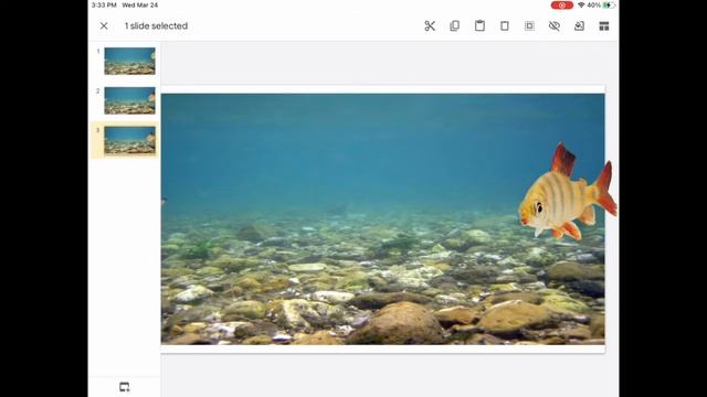 Stop Action Animation using iPad and Google Slides смотреть онлайн