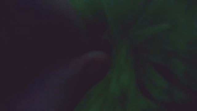 КАК ОПРЕДЕЛИТЬ ПОЛ КРОЛИКА БРЕЛКА " JESSY LIFE смотреть онлайн