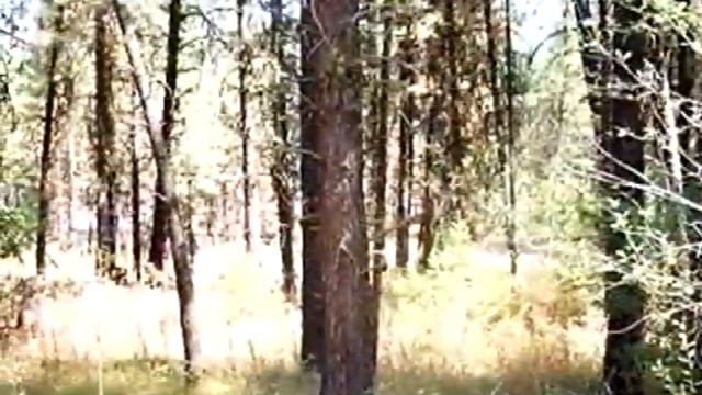 Homes for Sale - 3428 Southend Road New Meadows ID 83654 - Cindy Koberstein смотреть онлайн