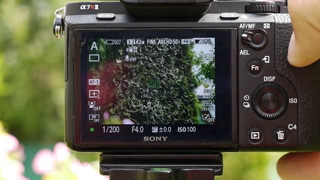 Sigma MC-11, Sony ILCE-7RM2, Canon EF 24-105mm f/4L IS USM. Тест автофокуса. смотреть онлайн