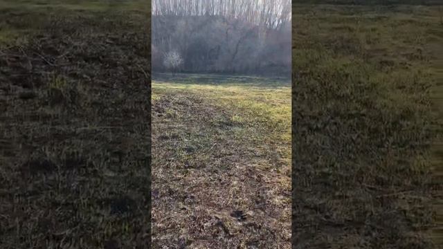 Regulmoto Sport 003 PR 2022 #эндуро #мотоцикл #покатушки