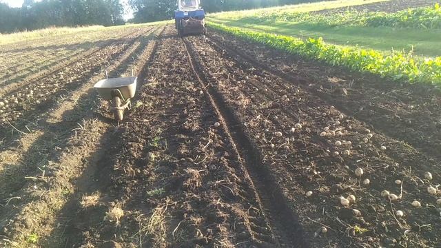 10 сентября 2021 г.mp4 смотреть онлайн