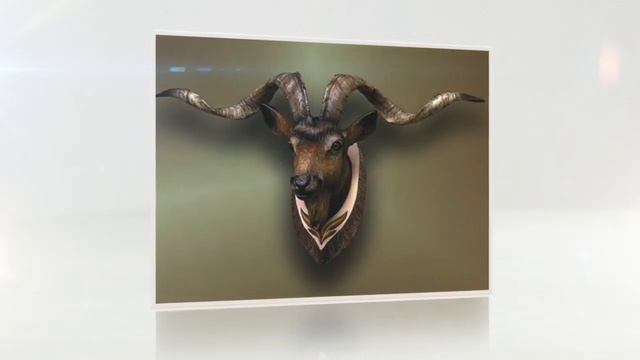 Интересные примеры художественной резьбы по дереву смотреть онлайн