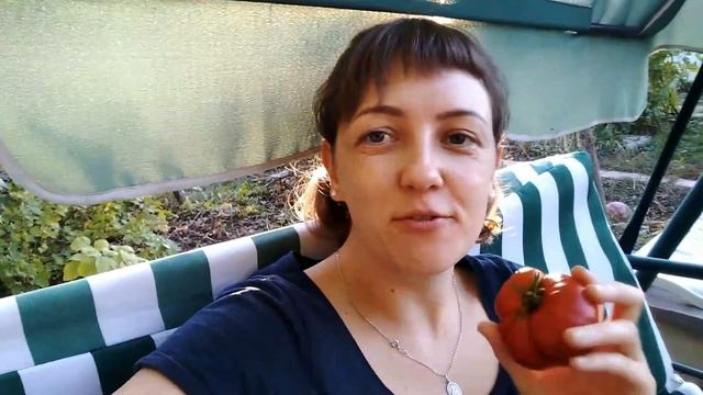 Полное СЫРОЕДЕНИЕ 7-8 день | Чистка ПОМИДОРАМИ или история про помидорку | Что чистят помидоры? смотреть онлайн