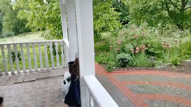 Устали от зимы?Вспомним лето!#дача#лето#вспомнимлето# смотреть онлайн