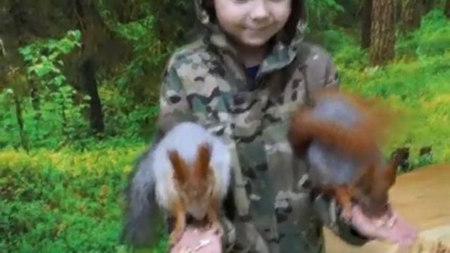 Ручной зоопарк. Кормим белок смотреть онлайн