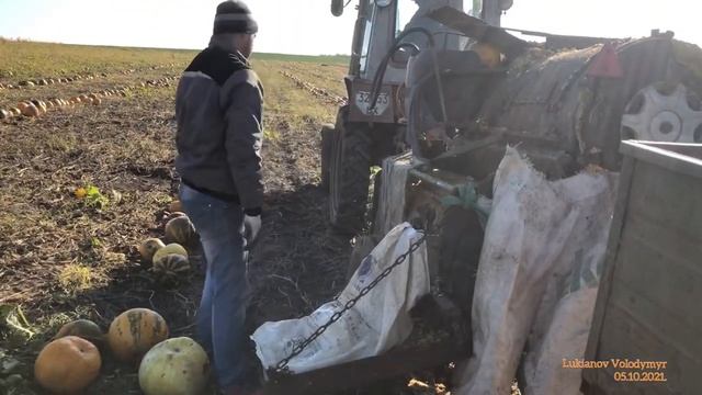 Гарбузів, як зірок на небі смотреть онлайн
