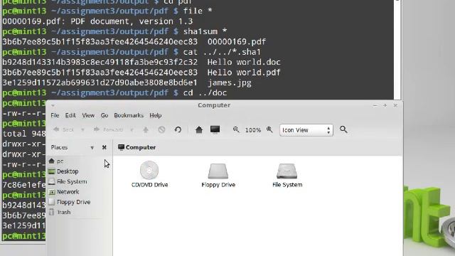 Foremost vs. Photorec Tool Validation смотреть онлайн