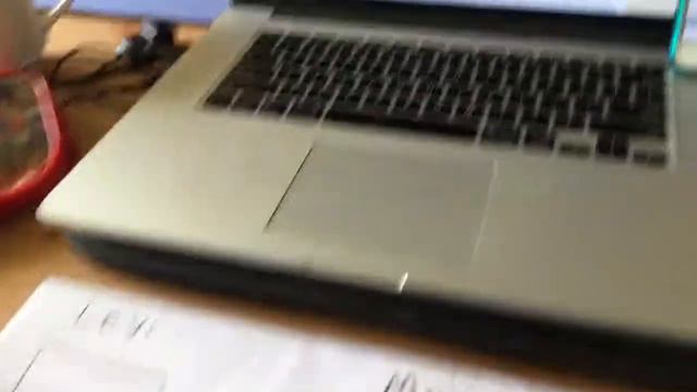 Levi's Spider Observations смотреть онлайн