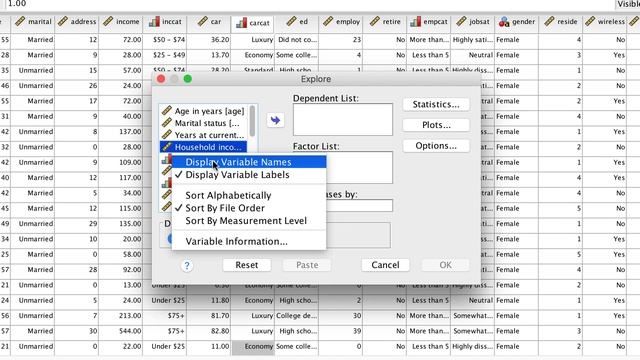 Four Ways to Compare Groups in SPSS and Build Your Data Handling Skills смотреть онлайн