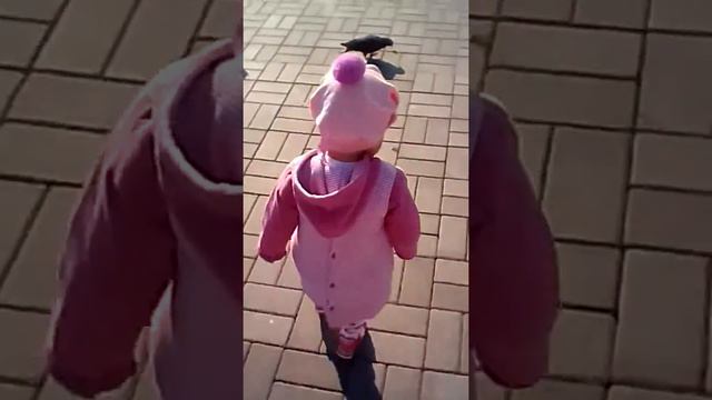 Моя дочка😃😍😘 гоняет голубей смотреть онлайн