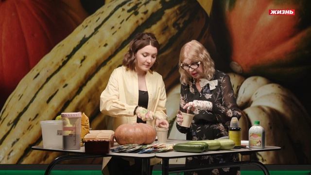 Тыква, кабачки и цукини. смотреть онлайн