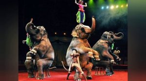 Цирковой марш. И.Дунаевский