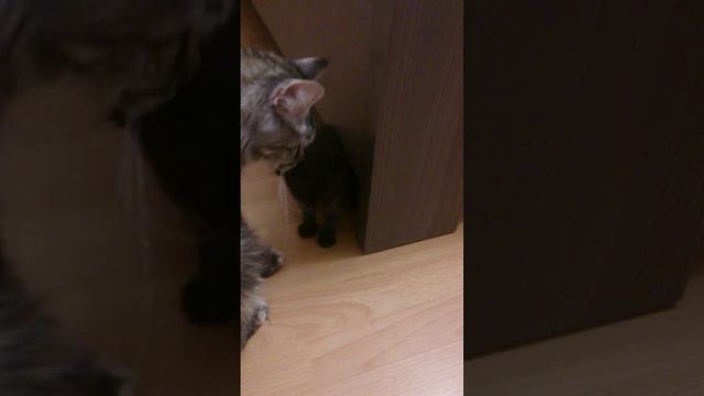 28 сентября 2015 г. смотреть онлайн